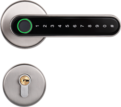  רב בריח - ידית קוד אלקטרו-ביומטרית חכמה